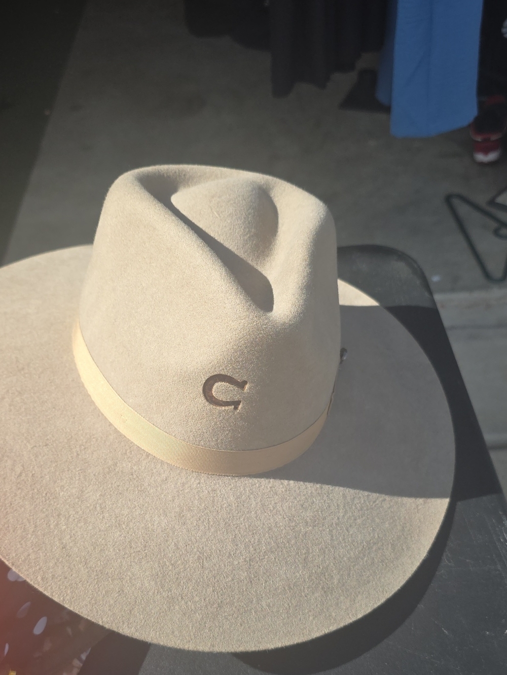 Women's Charlie 1 Horse Hats